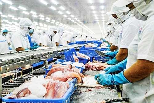 Doanh nghiệp cá tra ra sao sau quý II?
